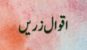 Aqwal Zareen
