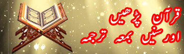 Quran Widget